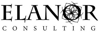 ELANOR Consulting