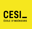 (FORMATION) CESI